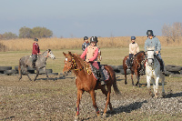 На «Казачьем острове» прошла большая тренировка любителей лошадей