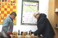 Определились победители шахматного турнира на Кубок Брюховецкого района
