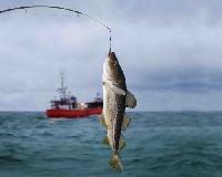 Внесены изменения в правила рыболовства