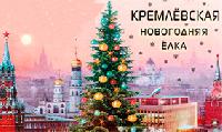 Брюховецкий школьник отправится на Кремлевскую елку 