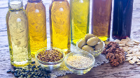 О развитии производства растительного масла 