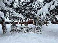 Студенты «Брюховецкого аграрного колледжа» активно помогают фронту