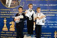 В станице Каневской прошел турнир по шахматам