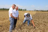 Уборочная страда идет полным ходом