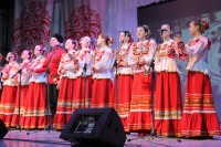 Зональный этап XXIX краевого фестиваля "Кубанский казачок" прошел в Брюховецком районе