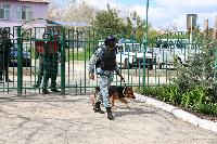 В Брюховецком районе прошли Всероссийские антитеррористические учения