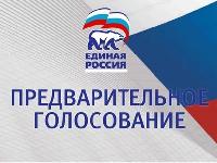 Единый день предварительного голосования «Единой России» 