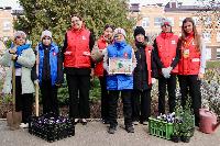 Школьники СОШ 3 высадили "Сад памяти"