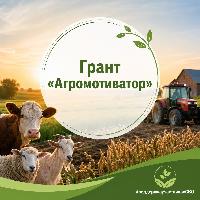 Грант «Агромотиватор» — поддержка для ветеранов боевых действий