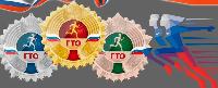 Как стать участником ГТО?