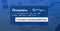Не забудьте оплатить налоги