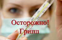 Внимание: грипп 