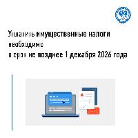 Уплатить имущественные налоги необходимо до 1 декабря