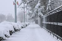 Сбор мусора временно приостановлен