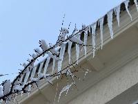 Зима проверяет на ответственность